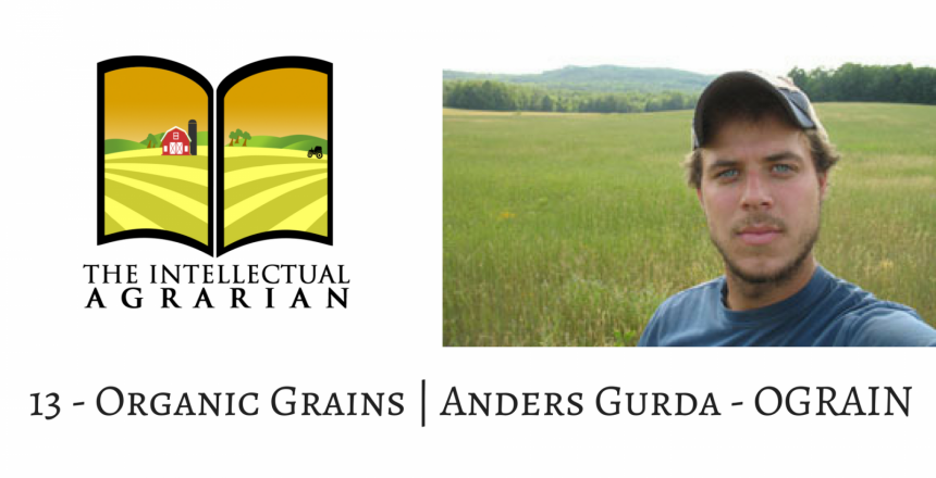 13 - Organic Grains - Anders Gurda - OGRAIN