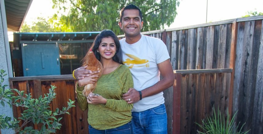 Kunal and the Chickens (283 of 420)