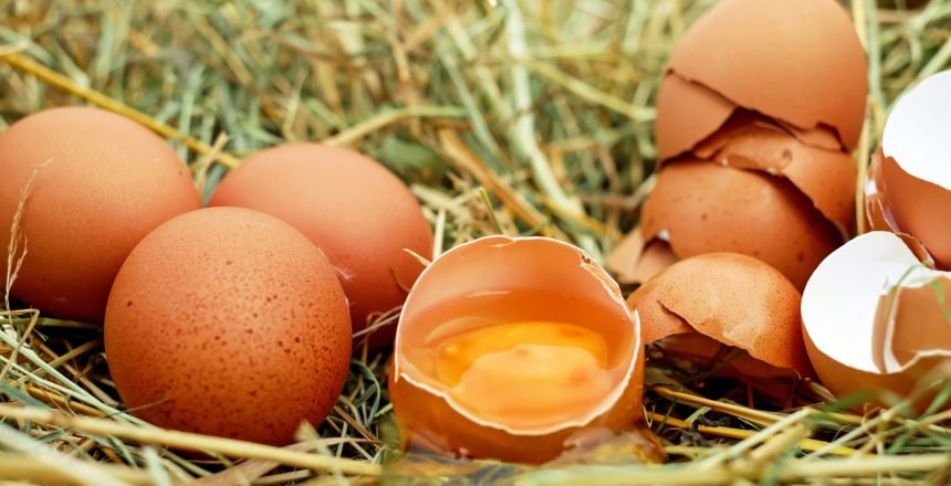 egg-chicken-eggs-raw-eggs-eggshell-128885